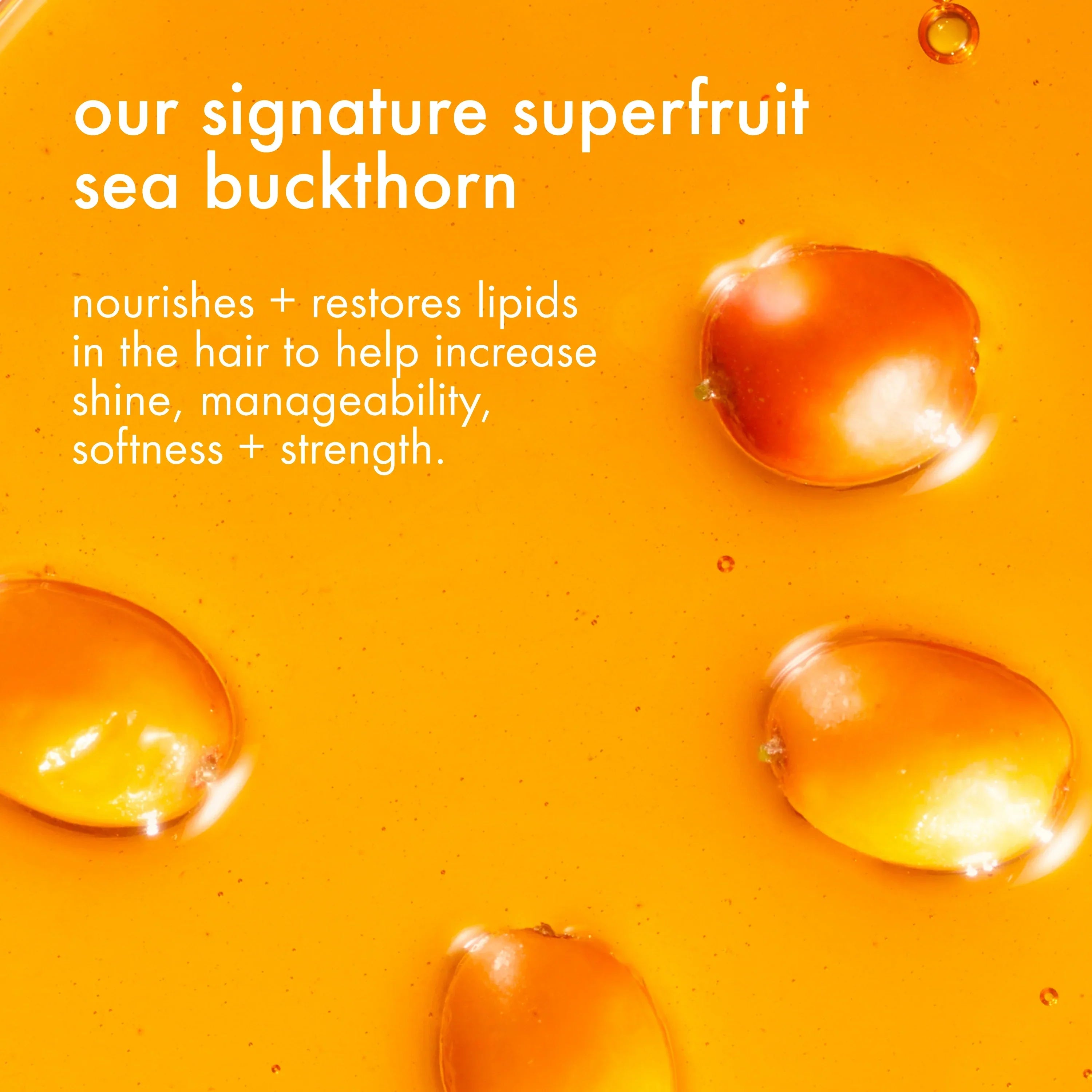 forget frizz anti-frizz conditioner - 275 ml / 9.2 oz
